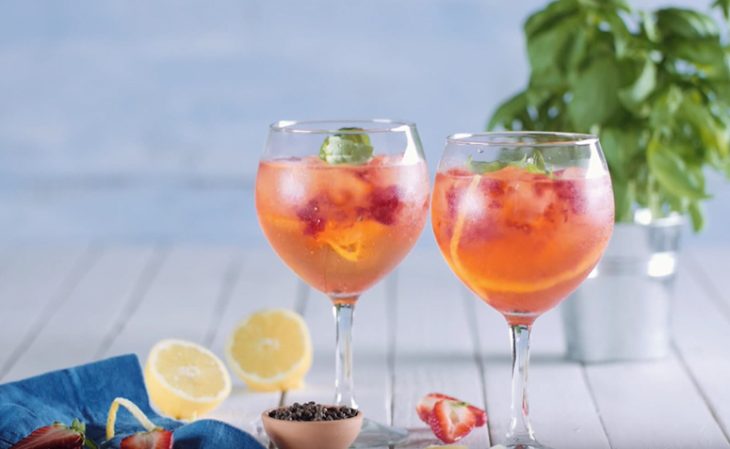 Drinks Gin Receitas Refrescantes Para Fazer Em Casa