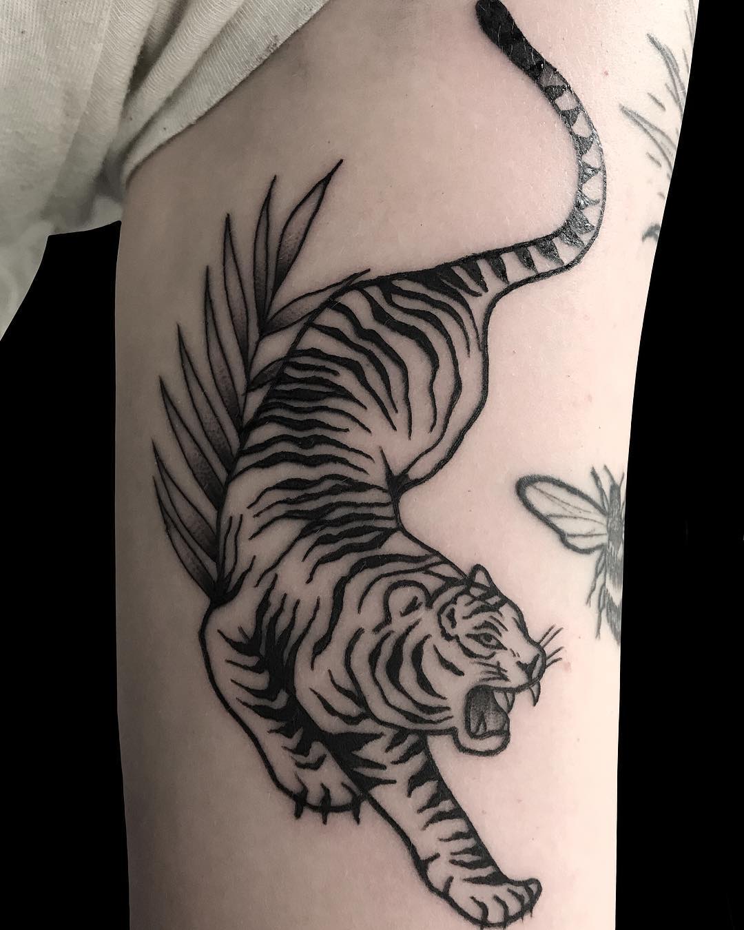 Tattoo Tigre Minimalista Kulturaupice