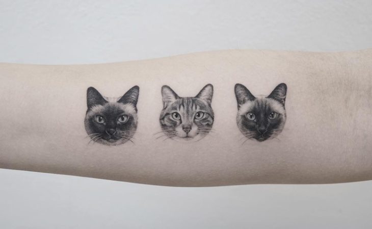 Tatuagem De Gato Ideias Para Se Apaixonar E Se Inspirar Dicas De Mulheres