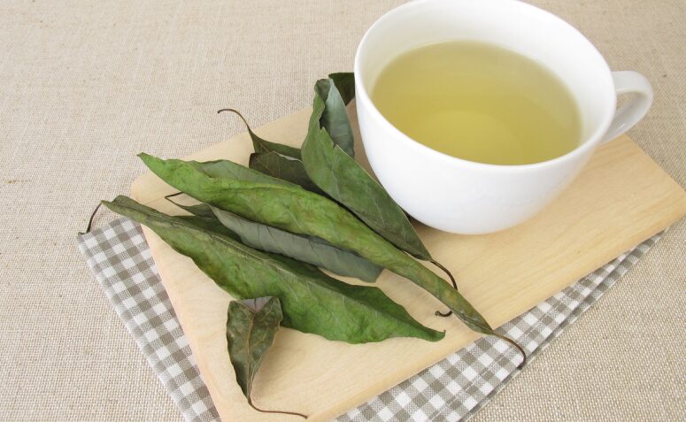Chá de folha de abacate: saiba para que serve e como prepará-lo